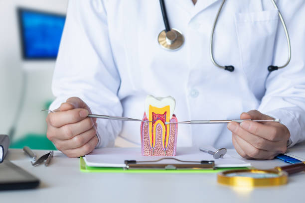 Best Emergency Treatment for Toothache in St Robert, MO